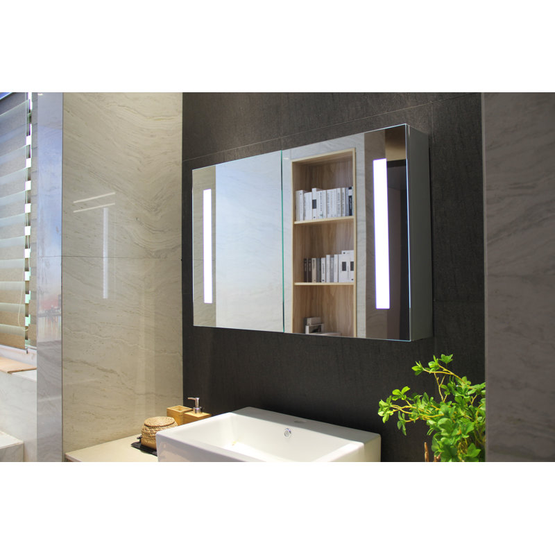 Orren Ellis Surface Mount Frameless 2 Door Medicine with 2